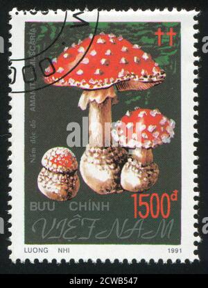 VIET NAM - VERS 1991: Timbre imprimé par le Viet Nam, montre des champignons, vers 1991 Banque D'Images