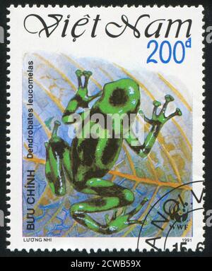 VIET NAM - VERS 1991: Timbre imprimé par le Viet Nam, montre la grenouille, vers 1991 Banque D'Images