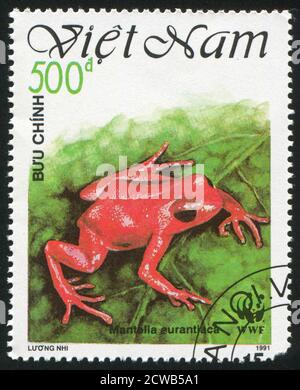 VIET NAM - VERS 1991: Timbre imprimé par le Viet Nam, montre la grenouille, vers 1991 Banque D'Images