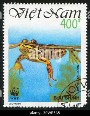 VIET NAM - VERS 1991: Timbre imprimé par le Viet Nam, montre la grenouille, vers 1991 Banque D'Images