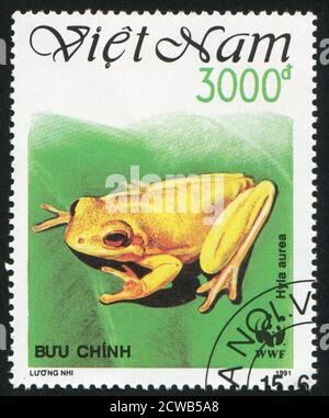 VIET NAM - VERS 1991: Timbre imprimé par le Viet Nam, montre la grenouille, vers 1991 Banque D'Images