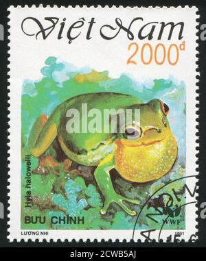 VIET NAM - VERS 1991: Timbre imprimé par le Viet Nam, montre la grenouille, vers 1991 Banque D'Images