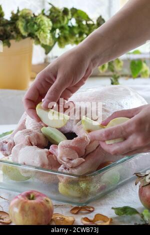 Mains de femme farcies de pommes d'oie crue. Goose préparer la cuisson dans un plat à pâtisserie en verre avec des pommes mûres sur une table avec une nappe blanche. Avec rus Banque D'Images