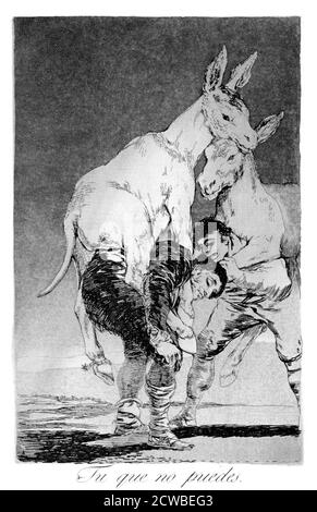 Vous qui ne pouvez pas, 1799 Francisco Goya. Assiette 42 de 'Los Caprichos'. Los Caprichos est un ensemble de 80 tirages en aquatinte et gravure créés par l'artiste espagnol Francisco Goya en 1797 et 1798, et publiés comme un album en 1799. Banque D'Images