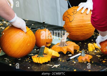 Processus de fabrication de citrouilles d'Halloween. Les mains dans les gants en caoutchouc le potiron en tranches par de petits scie à métaux. Banque D'Images