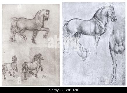 Chevaux, c1490-1510. A gauche: 'Three Horses', c1508-1510; à droite: 'Two Horses', par Leonardo da Vinci, c1490, les deux études pour le monument Trivulzio et trouvé dans la collection de la Bibliothèque royale, Château de Windsor, Windsor, Angleterre. Banque D'Images