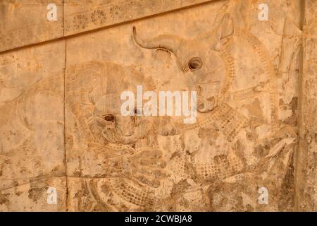 Relief représentant un Lion attaquant un boeuf représenté en relief Sur le Stairway est de l'Apadana ou audience Hall De Persepolis Banque D'Images