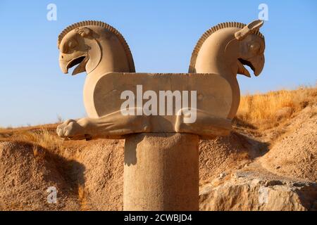 Photographie d'une statue de la capitale de la colonne de Griffin, Persepolis, Iran Banque D'Images