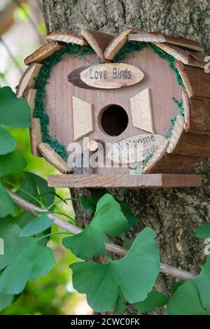 Une belle maison d'oiseaux en bois naturel accrochée à l'extérieur dans un ginkgo arbre dans le jardin Banque D'Images