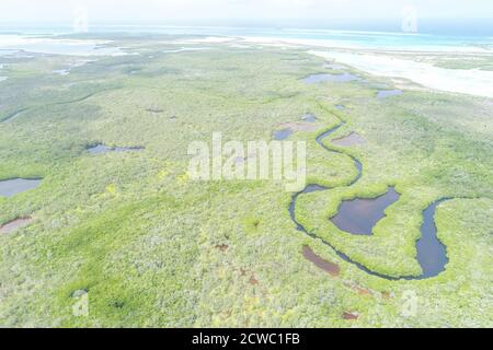 Vue aérienne sur la rivière dans la forêt de mangroves de l'île des Caraïbes À Los Roques Venezuela Banque D'Images