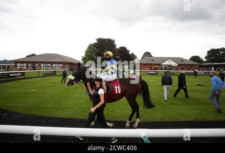 Christopher Robin, monté par JJ Burke, est dirigé autour de l'anneau de parade avant de suivre la betrafering sur Twitter handicap à l'hippodrome de Bangor, Wrexham. Banque D'Images