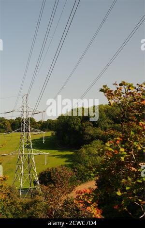 Champs d'agriculteurs avec tour de transmission, pylône électrique, arbres et lignes électriques au-dessus d'un ciel bleu Banque D'Images