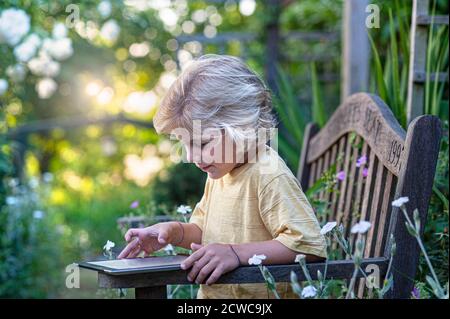 Bébé iPad sécurité Internet blond garçon 8-10 ans en floral jardin heureux avec son élégant iPad Apple Tablet PC en plein air en situation de jardin fleuri Banque D'Images