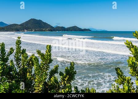 Séquence de vagues blanches venant à la rive en panoramique plage au Brésil Banque D'Images