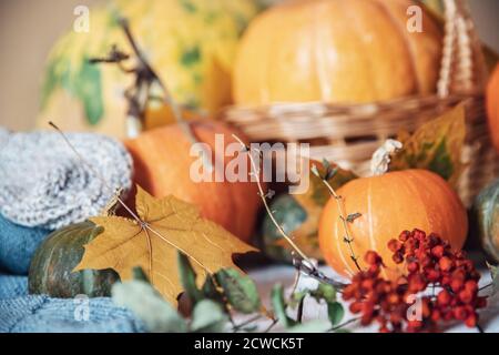 Fond naturel d'automne, récolte de citrouilles orange sur table rustique en bois avec feuilles de coin et rowan Banque D'Images