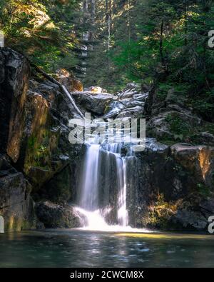 Chute d'eau à exposition longue prise dans la forêt de Lynn Valley avec Nikon d3200 Banque D'Images