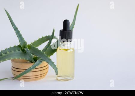 Soins professionnels de la peau, concept de cosmétiques naturels, flacon compte-gouttes Banque D'Images