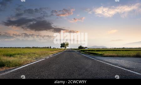 Panoramique d'une longue route d'asphalte vide vers le ciel du coucher du soleil. Espace de copie vide pour le contenu de l'éditeur. Banque D'Images