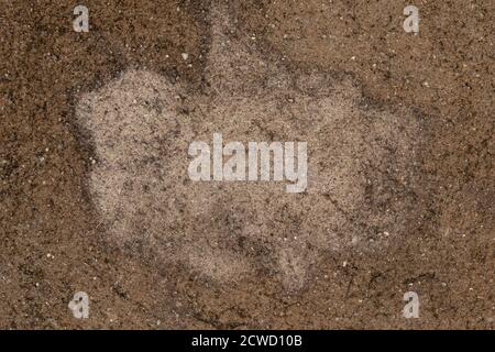 Sol en ciment avec fond et texture d'espace circulaire. Béton de sol ancien fissuré et rayé avec un espace de copie pour le texte. Banque D'Images