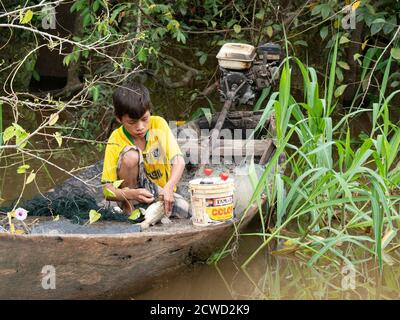 Un jeune garçon cueillant des poissons de son filet sur le ruisseau Belluda, rivière Ucayali, Loreto, Pérou. Banque D'Images