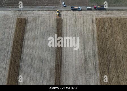 Eskisehir, Turquie. 29 septembre 2020. La photo aérienne prise le 27 septembre 2020 montre que les agriculteurs récoltent un champ de maïs à Eskisehir, en Turquie. La famille Gecer, qui gagne son existence depuis des années grâce à la production de betteraves à sucre en Anatolie centrale, en Turquie, est très optimiste quant à la récolte de cette année, malgré plusieurs catastrophes naturelles qui ont frappé la région pendant les semailles. Credit: Osman Orsal/Xinhua/Alay Live News Banque D'Images