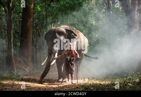 Fermier thaïlandais marchant avec l'éléphant dans la jungle Banque D'Images