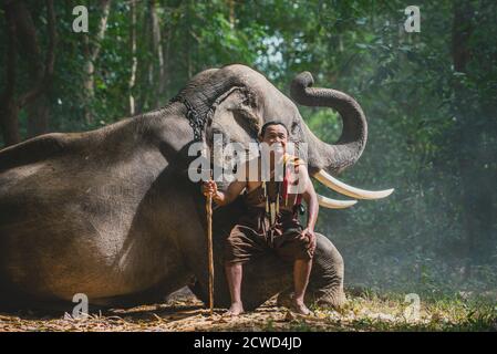 Fermier thaïlandais marchant avec l'éléphant dans la jungle Banque D'Images