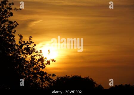 coucher de soleil à la campagne à travers les arbres dans le staffordshire Banque D'Images