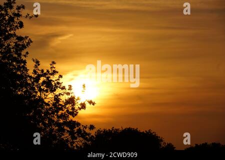coucher de soleil à la campagne à travers les arbres dans le staffordshire Banque D'Images