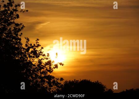 coucher de soleil à la campagne à travers les arbres dans le staffordshire Banque D'Images