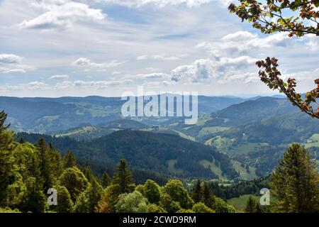 Paysage de la forêt noire de Belchen. Banque D'Images