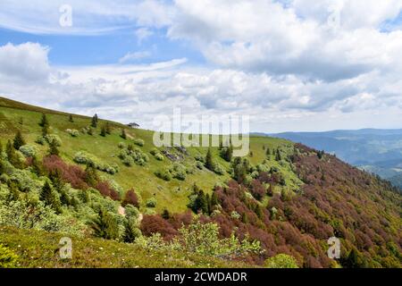 Paysage de la forêt noire de Belchen. Banque D'Images