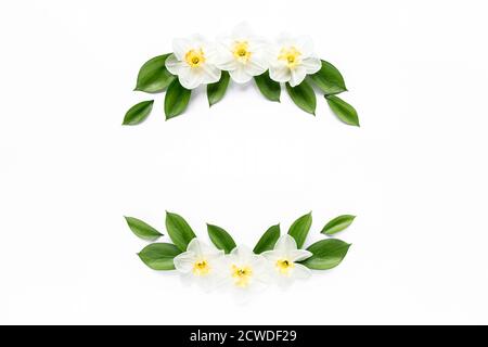 Cadre rond avec narcisse de fleur blanche, boutons de chamomiles, branches et feuilles isolées sur fond blanc. Plan plat, vue du dessus Banque D'Images