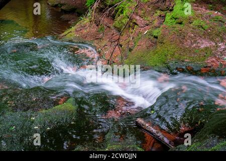 Rivière de montagne dans une forêt verte. Ruisseau clair avec des pierres et des arbres autour Banque D'Images