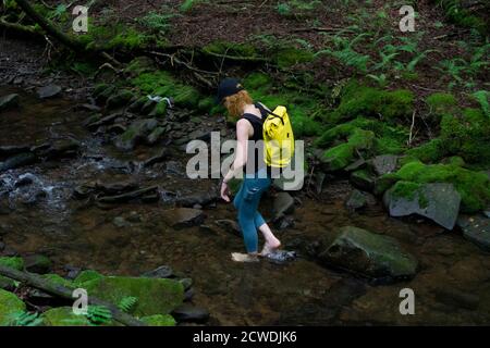 Young woman walking barefoot in a cold stream in the woods. Hiker exploring nature Banque D'Images