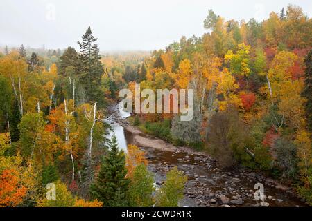 Rivière dans le nord du Minnesota bordée d'arbres de couleur automnale un jour brumeux Banque D'Images