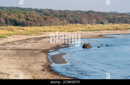 Scène de plage au début de l'automne dans le sud-ouest de la Suède Banque D'Images