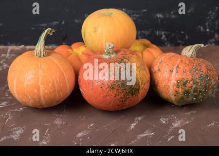 Pyramide de récolte de citrouille sur fond sombre Banque D'Images