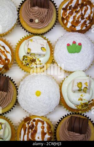 cupcake au chocolat, noix de coco, pistache et autres saveurs Banque D'Images