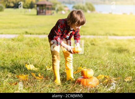 Un adorable petit garçon joue avec la citrouille dans le parc d'automne pour Halloween. Trick or Treat pour enfants. Amusement en automne. Enfant habillé Banque D'Images