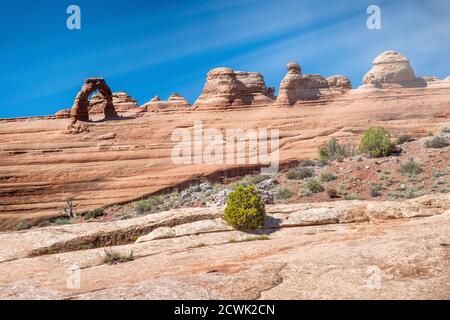 Arche délicate vue du point de vue inférieur, Parc national d'Arches. Banque D'Images