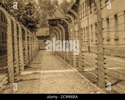 Auschwitz, Oświęcim Pologne - 05 juin 2019 : visiteurs regardant la galerie de photos des prisonniers. Auschwitz Birkenau camp de concentration nazi Banque D'Images