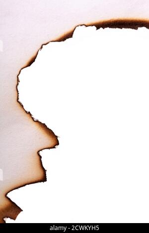 bords de papier brûlés isolés sur fond blanc. modèle pour la conception Banque D'Images