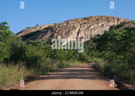 Vue panoramique sur une route de terre et koppie (montagne) avec un fond ciel bleu vif près de Pretoriuskop dans le parc national Kruger, Afrique du Sud Banque D'Images