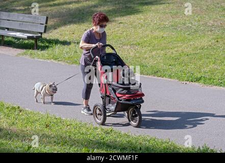 Une femme américaine asiatique âgée marche un chien et pousse un second dans une poussette. Dans un parc à Queens, New York. Banque D'Images