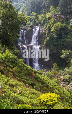 Sri Lanka, Nuwara Eliya, Ramboda, Ramboda Falls Banque D'Images