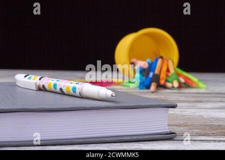 Le stylo est posé sur le livre. Banque D'Images