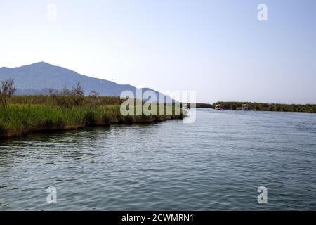 La rivière Dalyan est une destination touristique populaire en Turquie. La rivière accueille le caretta caretta et de nombreux oiseaux et poissons. Banque D'Images