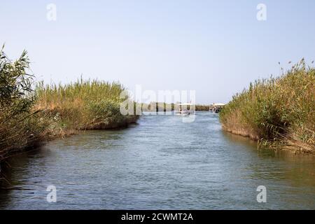 La rivière Dalyan est une destination touristique populaire en Turquie. La rivière accueille le caretta caretta et de nombreux oiseaux et poissons. Banque D'Images