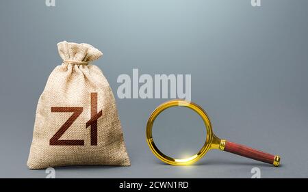 Sac d'argent zloty polonais et loupe. Conditions les plus favorables pour les dépôts, les prêts. Audit financier. Recherche de bénéficiaires de financement. Origine Banque D'Images